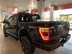 فۆرد F-150